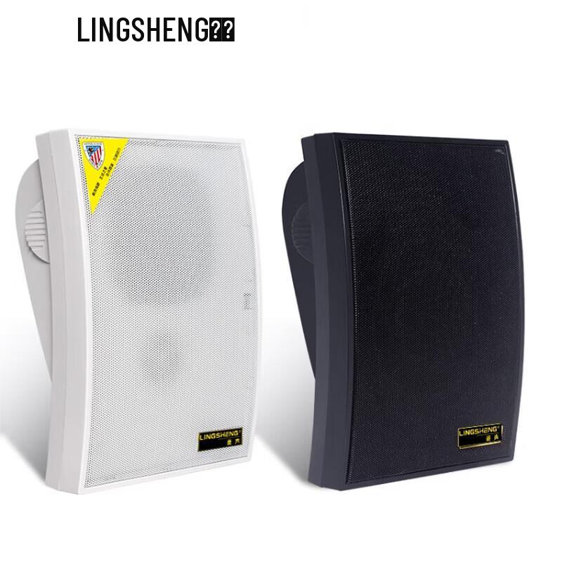 Lingsheng WS-570 Wall-Mounted PA Speaker CN Plug (adapter Included)