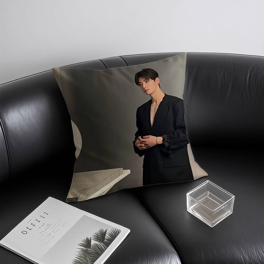 Kpop Singer Cha EEun WWoo Pillow Case Antidustmite Invisible zipper Sofa Bed