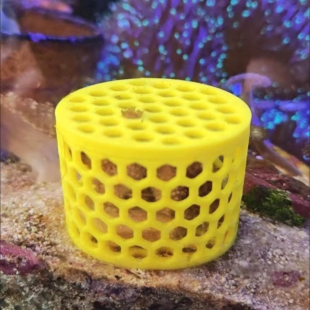 Aquarium Coral Transplanting Box 3D Printing Coral Mounting Tools  Aquarium Use