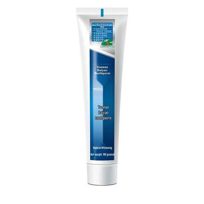 Yunnan Baiyao Wintergreen Gum Care Toothpaste