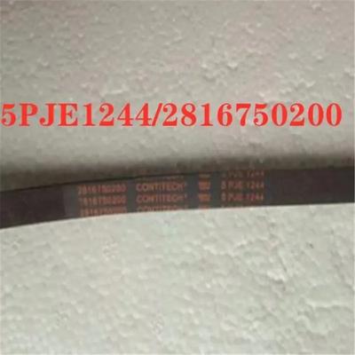 2pcs Washing Machine XQG70-1058FX Belt 2816750200 5PJE1244