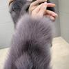 Winter fox hair imitation fur jacket short young fur coat female Korean version looks thin and trendy