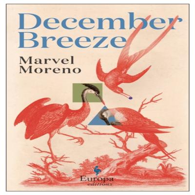 December Breeze by Marvel Moreno Paperback Book 9781787704091