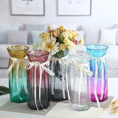 Modern European Glass Vase for Fresh or Dried Flowers - Hydroponic Desktop Ornament
