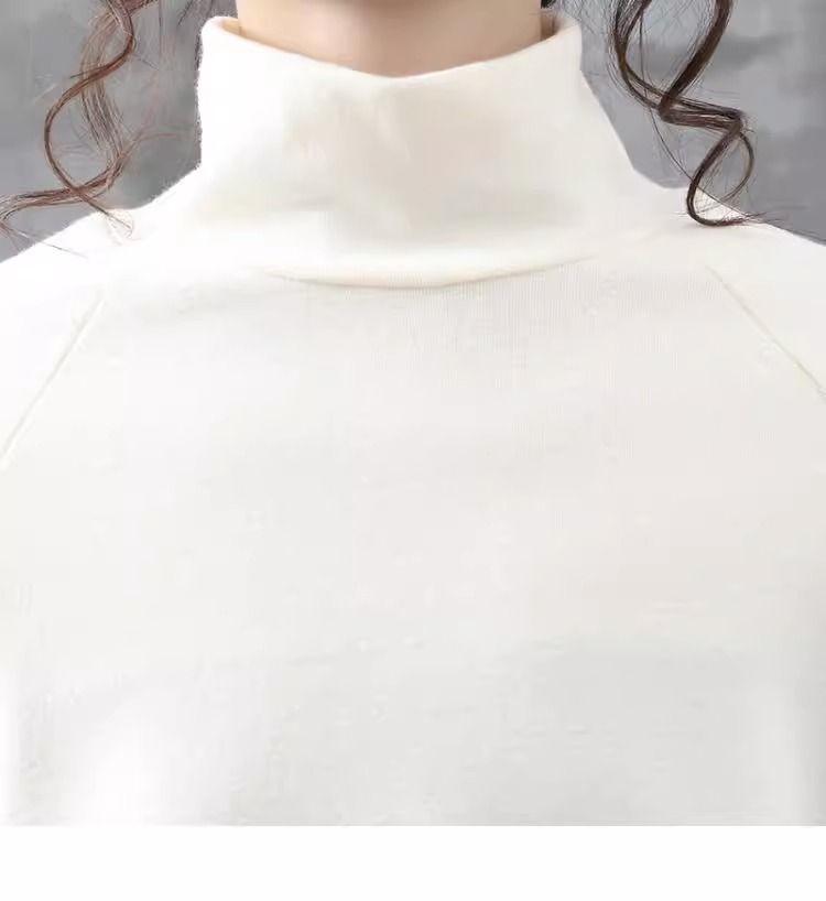 2024 Double-Sided German Velvet Bottoming Shirt: Retro Half-High Collar, Literary Ethnic Style for Spring and Autumn