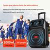 Aigo S56 12-inch Portable Bluetooth Trolley Speaker with Microphone CN plug (adapter included)