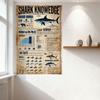 Vintage Shark Knowledge The Anthropy Of Shark Metal Tin Sign - Size Comparison & Fun Facts Retro Wall Art for Bar Cafe Man Cave