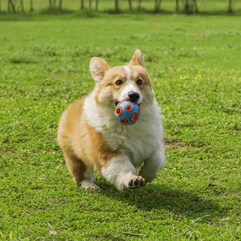 Stone Ball Dog Toy LED Ball Snack Ball