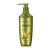 Ginger Essence Oil Control Conditioner