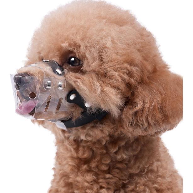 Mayerzon Dog Muzzle, Basket Muzzle for Small Medium Dogs Poodle Dachshund Corgi, Clear Puppy Mouth Cover for Grooming Vet Visits to Prevent Biting