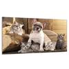 Glass Hob Protector 90x52 Pies