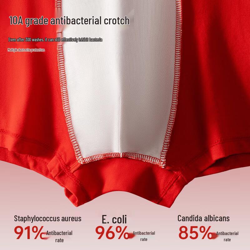 LangSha Men's Anti-Bacterial Breathable Loose Fit Boxer Briefs