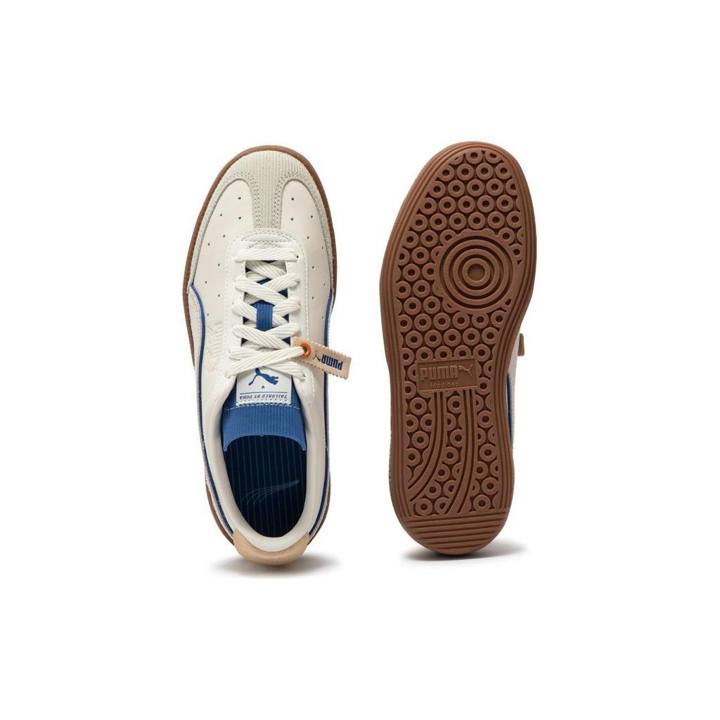 Puma Stenzel Pl Vlado Low Top Skate Shoes Unisex Skate Shoes Light-Blue 386343-02