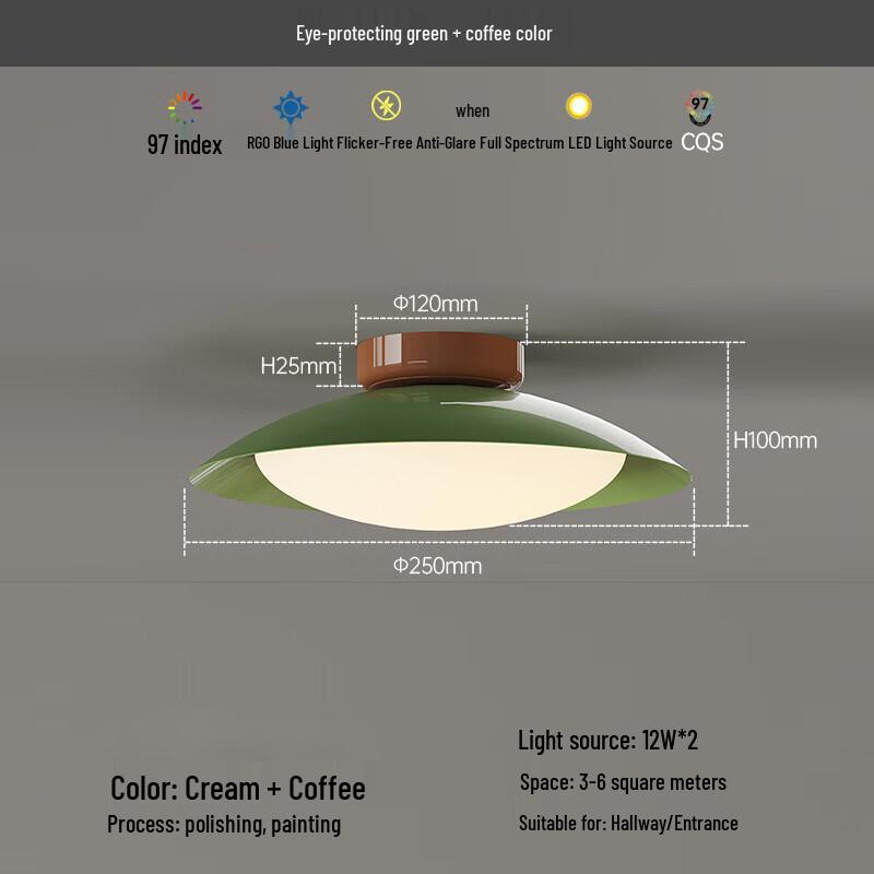 Pailide Prue Full-Spectrum Eye-Protection Ceiling Light