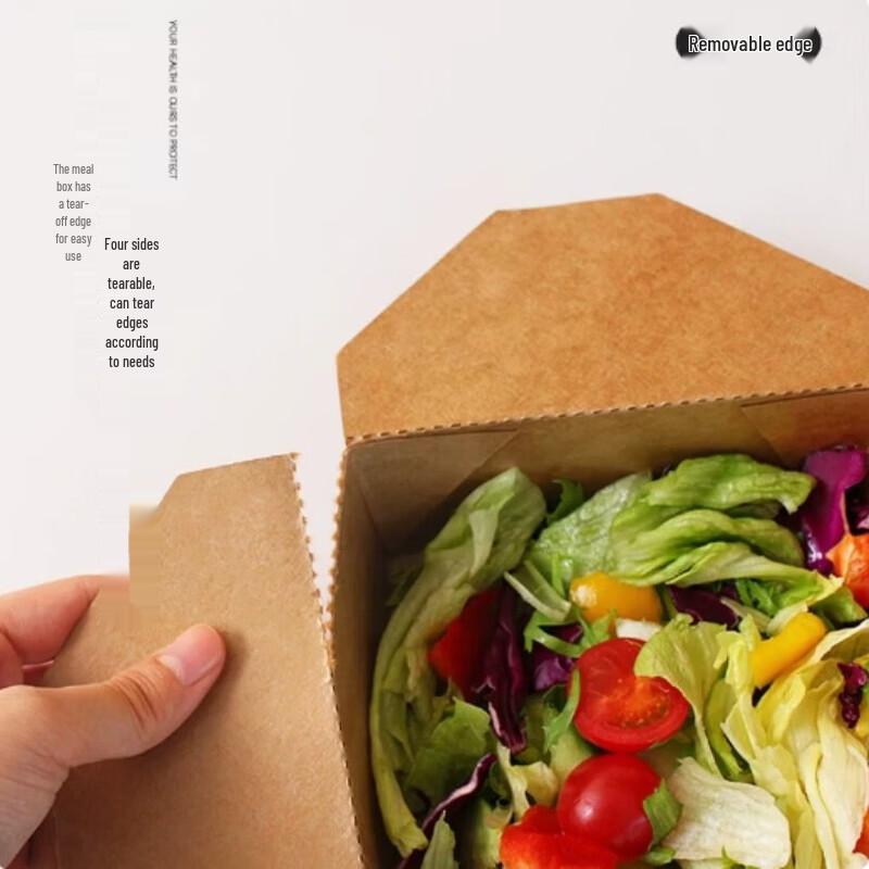 SIVIR Disposable Kraft Paper Takeaway Boxes with Lids