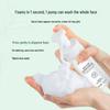 DR PLANT High Mountain White Tea Amino Acid Cleansing Foam