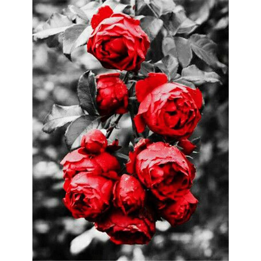 Full 5D Diamond Painting Black and White Rose DIY Diamond Embroidery Diamond Mosaic Cross Stitch Kits Home Decor Gift