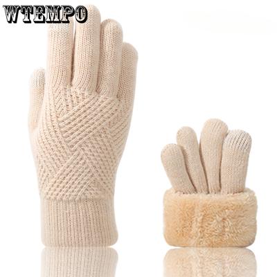 Women's Winter Gloves Cycling Warm Knit Gloves Office Simple and Cold Resistant Gloves Double-layer Touch Screen Gloves