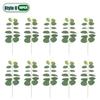 10-100PCS 3 Kinds Eucalyptus Leaves  Artificial Silver Dollar Leaves Picks Dried Eucalyptus Home Decoration Party Decoration