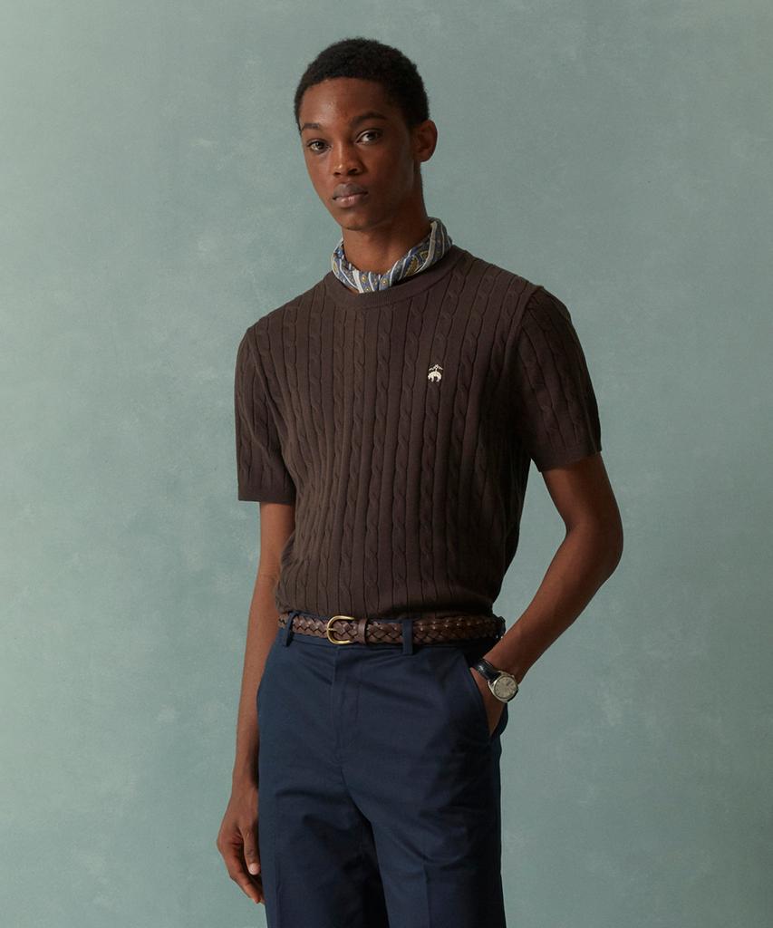 BROOKS BROTHERS Cotton Cable Crew Neck Short Sleeve Sweater (Brown) (Bbwrmog203)