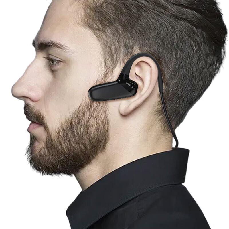 

WoPin B23 Bluetooth 5.3 Ear-hook Wireless Earphones