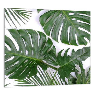 GLASPANEL FÜR DIE KÜCHE 65x60 Monstera