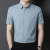 Short Sleeve Men's Shirt Summer Clothing New Middle-Aged Business Leisure Solid Color Thin Cardigan Shirt Men
