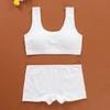 Pantie and Bra Girls Underwear Vest Development Teens Suit Pure Cotton Vest Double Layer Hipster Pub