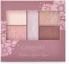 Canmake Perfect Stylist Eyes V05 Pinky Chocolat Eyeshadow 3.0g (x 1)
