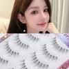 Choyu - Natural Multipack False Eyelashes