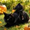 Festivalové oblečení pro mazlíčky Doplňky Bezhlavý jezdec Kočičí kostým Halloween 3D Zábavný jezdecký outfit s dýní Svátek pro psy Lucerna Nastavitelný