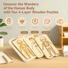 Organ Model Montessori Jigsaw Puzzle Human Structure Human Structure Toy  Science Learning