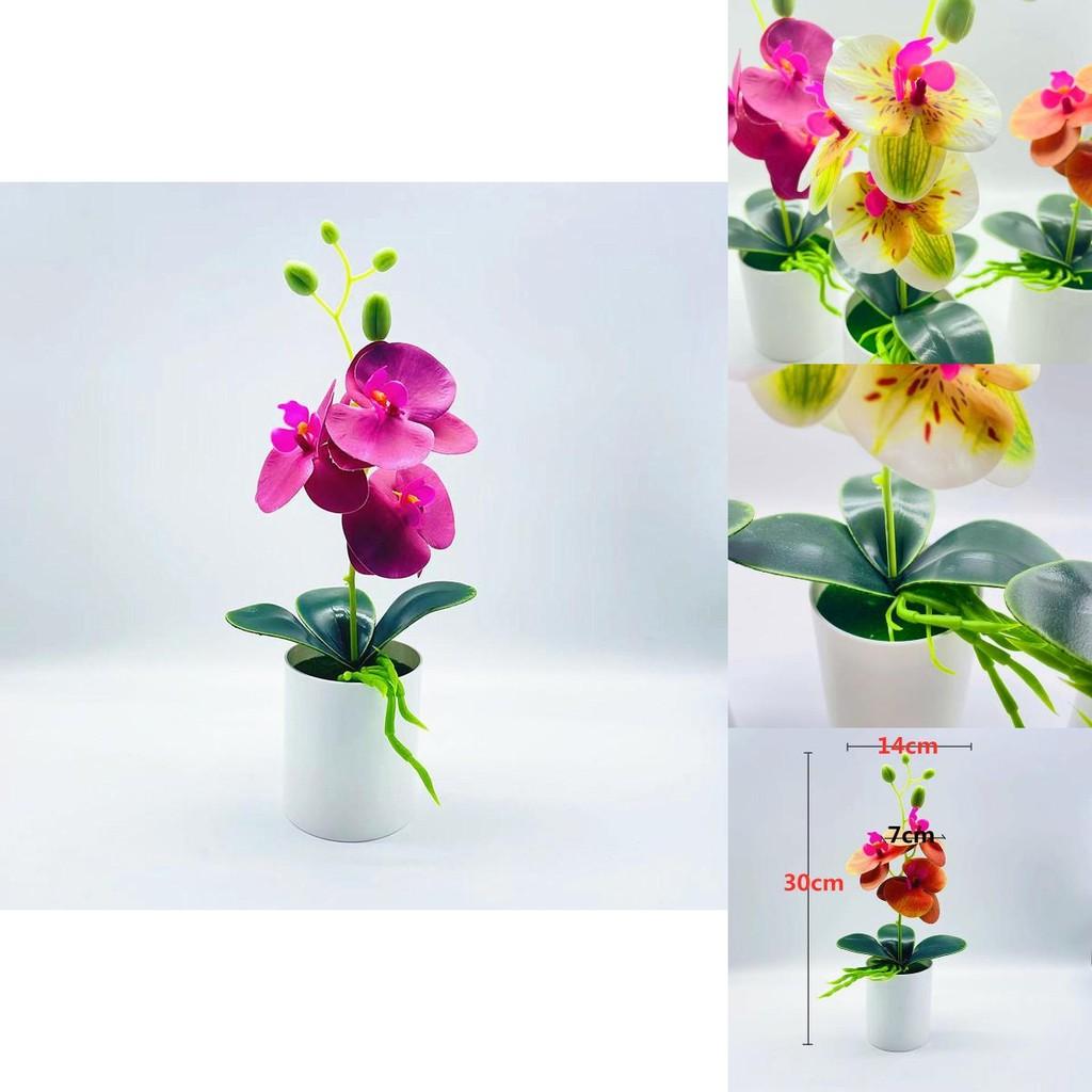 Artificial Orchid Plant With Pvc Material For Home Decor And Gift Giving
