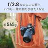 Nikon NIKKOR Z 28-75mm F/2.8 Nikon Mirrorless Camera Lens