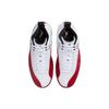 New Air Jordan 12 Retro 'Cherry' 2023 CT8013-116