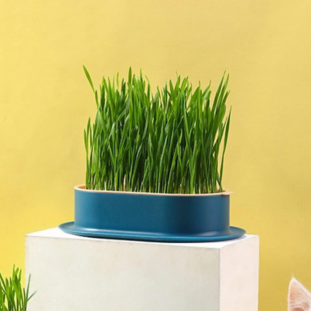 4pcs Cat Plant Convenient Planting Box Household Cat Grass Box Nursery Cat Plant (4 Colors)