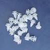 Wancheyou Car Door Interior Panel Clips