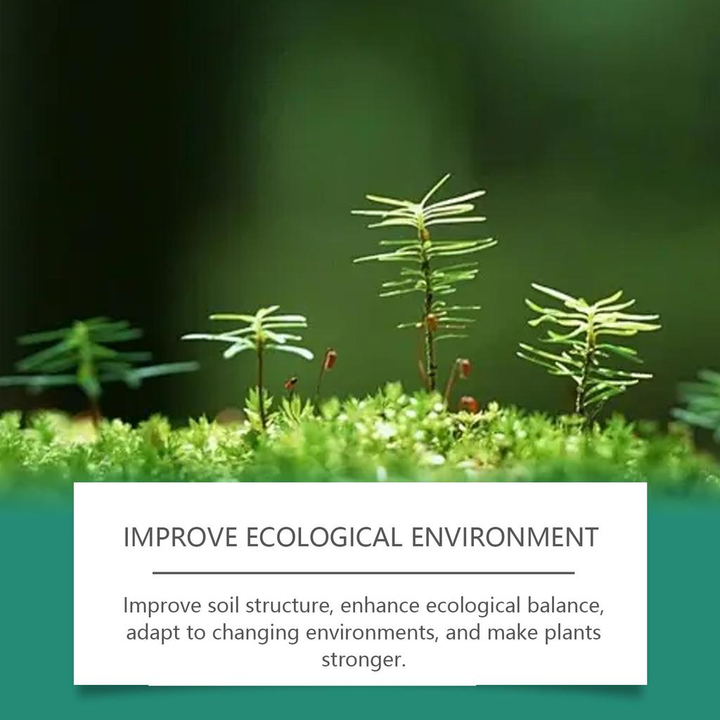 Plant Growth Fertilizers Stick for Healthy Indoor & Outdoor Gardening Easy To Use Continuous Release Full Nutrition