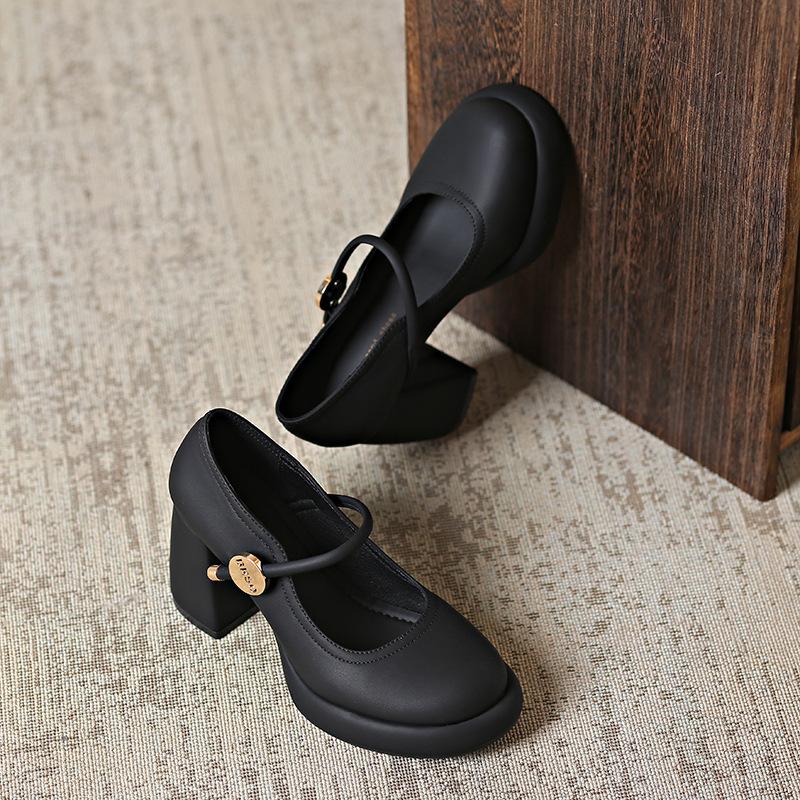 French Gentle Evening Breeze Mary Jane High Heels Women's Versatile Thick Heel Skirt Autumn 2025 New Small Leather Shoes Single Shoes