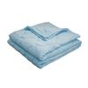 Piumone Estivo Fresco Leggero Trapuntato Singolo Matrimoniale King Size Reversibile Traspirante Coperta Trapuntata per Letti Viaggio Uso Domestico
