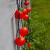 Waterproof Solar Fruit String Lights: Apple & Orange Harvest Festival Decoration