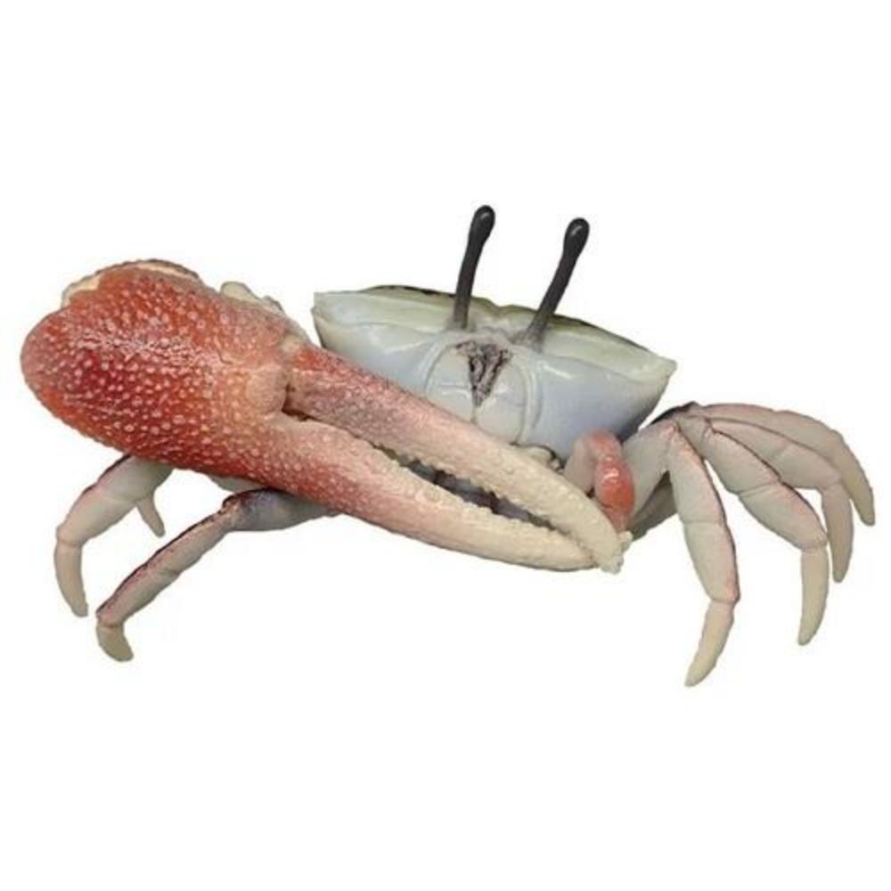 GACHA Ecological Atlas FIGURE Encyclopedia of Dangerous Organisms Lobster Tortoise Hermit Crab ACTION Figure Model Playthings