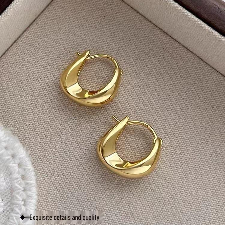 925 Sterling Silver Hoop Earrings: New 2023 Luxury Style Women's Studs with High-End Feel