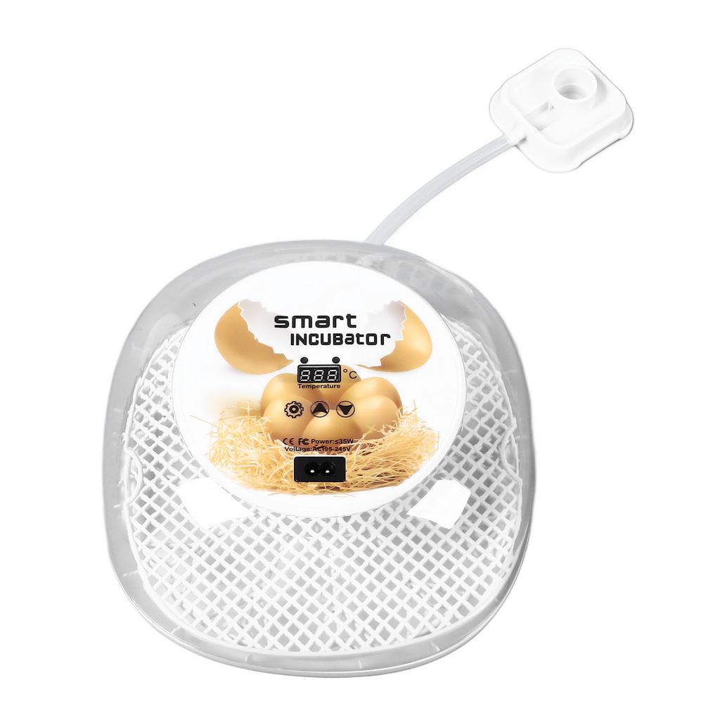 12 Egg Incubator Automatic Egg Turner Small Poultry Incubator 360 Degree View for Hatching Chicken