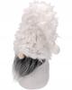 Christmas Gnome Santa Claus For Christmas