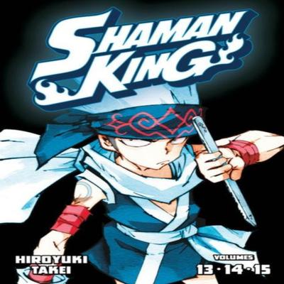 SHAMAN KING Omnibus 5 Vol. 1315 par Hiroyuki Takei Livre de poche 9781646512430