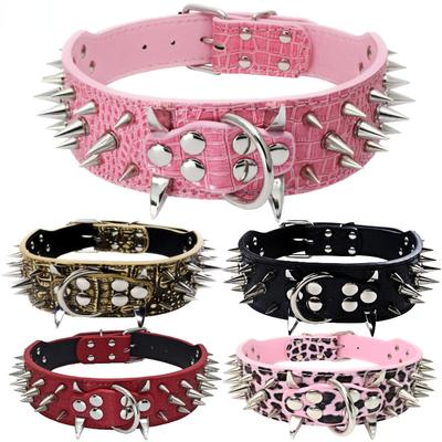 Köpek – Köpek Tasmaları ve Tasma Kayışları