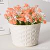 Thickened Plastic Flower Pot, Durable Planter for Succulents Phalaenopsis, DIY Faux Plant Decor, Home Garden Container