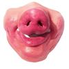 Anti-Bite Smiling Teeth Pet Muzzle Anti-Scavenge Grinning Dog Mask  Dog Cross Dressing