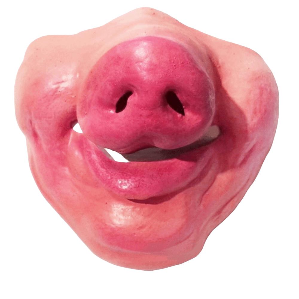 Anti-Bite Smiling Teeth Pet Muzzle Anti-Scavenge Grinning Dog Mask  Dog Cross Dressing